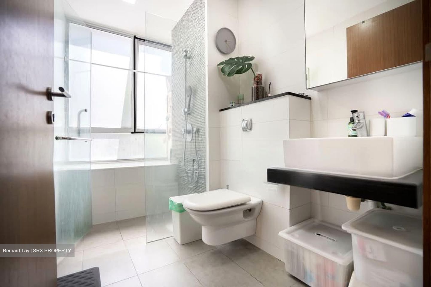 The Lucent (D15), Apartment #554924081